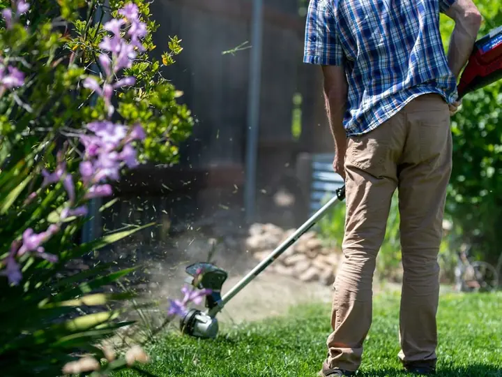A gardener trimming plants